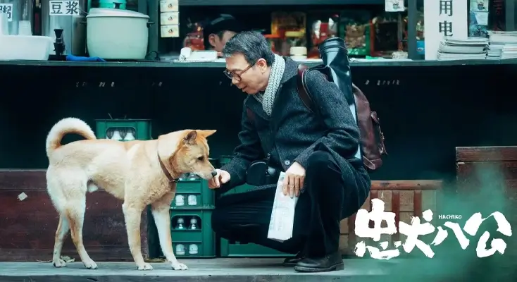 在海外看国内电视剧用什么软件