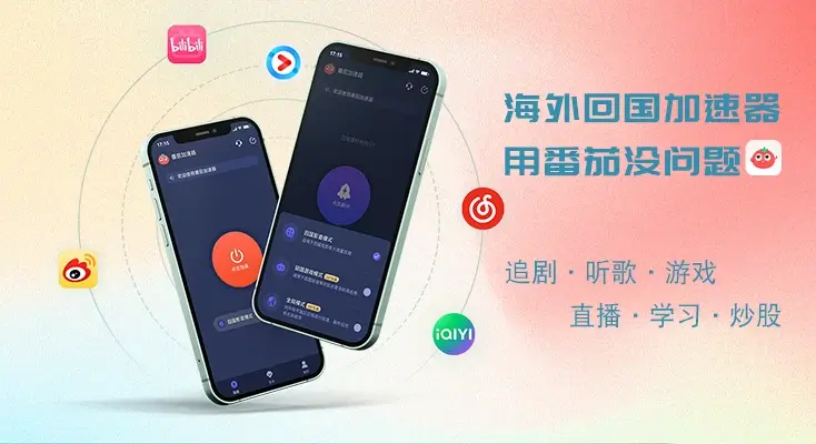 图解proton vpn 中国